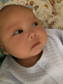 This is zhenghan