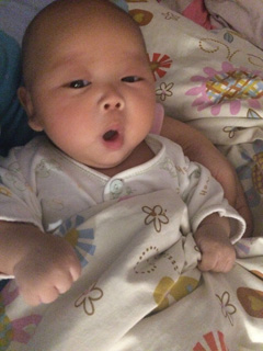 This is zhenghan