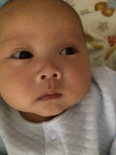 This is zhenghan