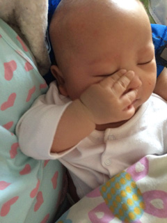 This is zhenghan