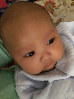 This is zhenghan