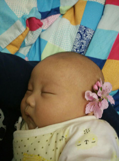 This is zhenghan