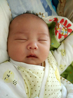 This is zhenghan