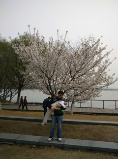 This is zhenghan